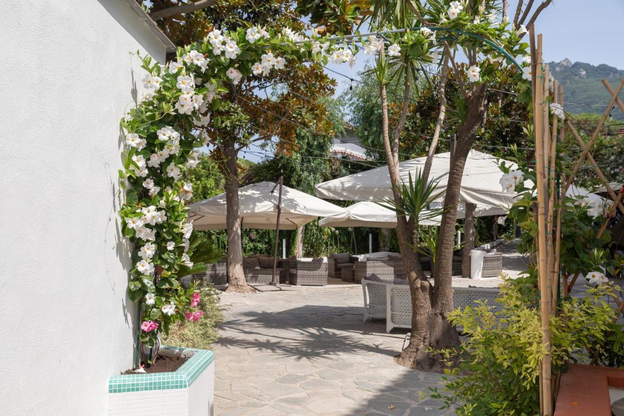 Hotel San Francesco Forio di Ischia Dış mekan fotoğraf